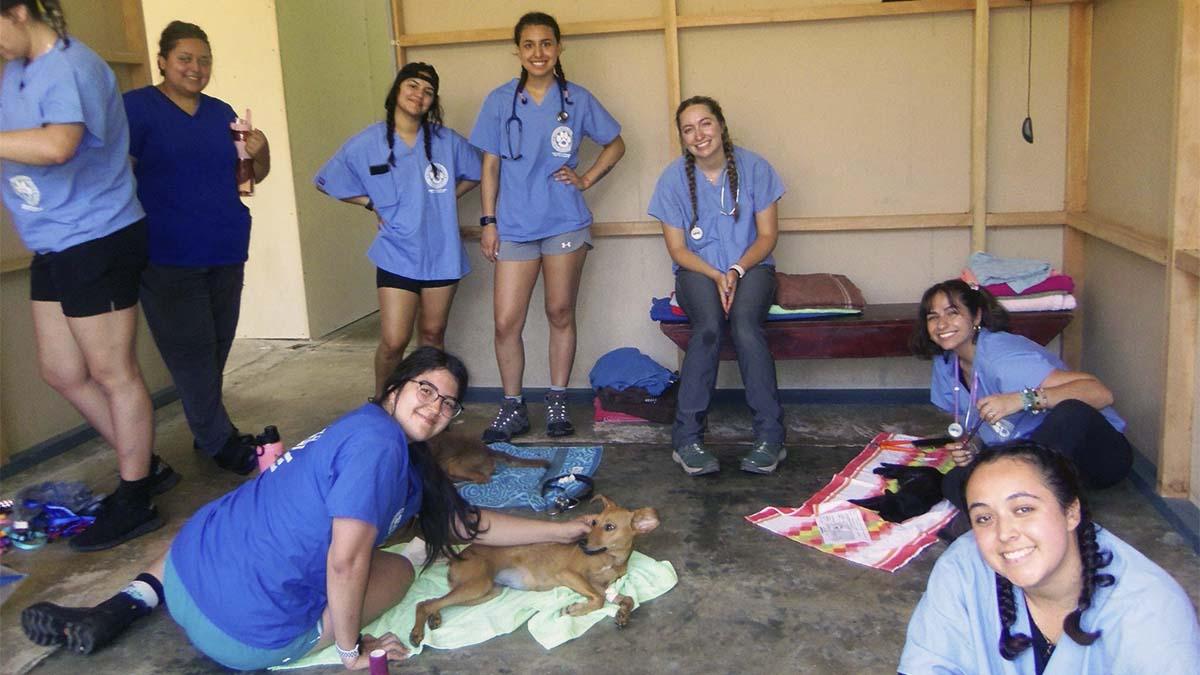 A group of veterinary students smile at the camera while several animals lie on the floor.