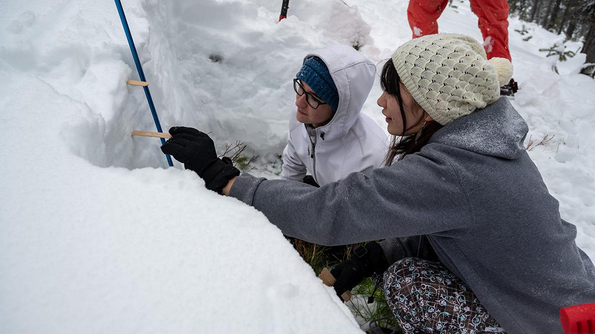 Two students use popsicle sticks to measure the distance between snow layers in a snow pit.